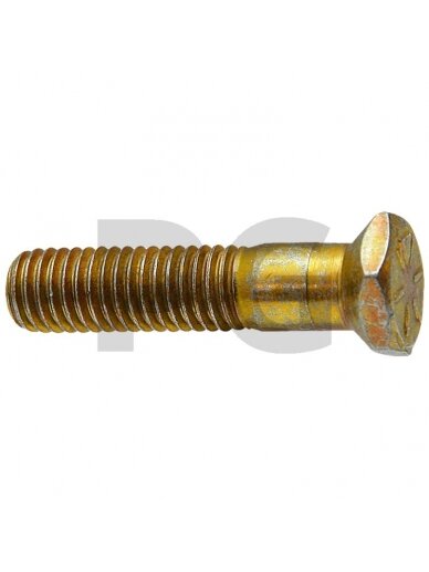 Hexagon head bolt with taper